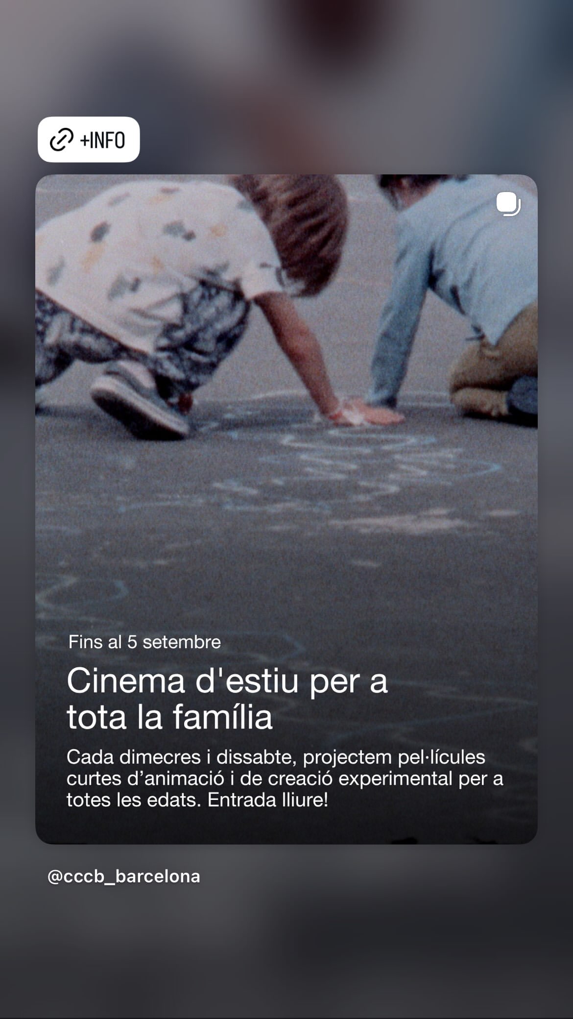 Cinema d'estiu per a tota la família