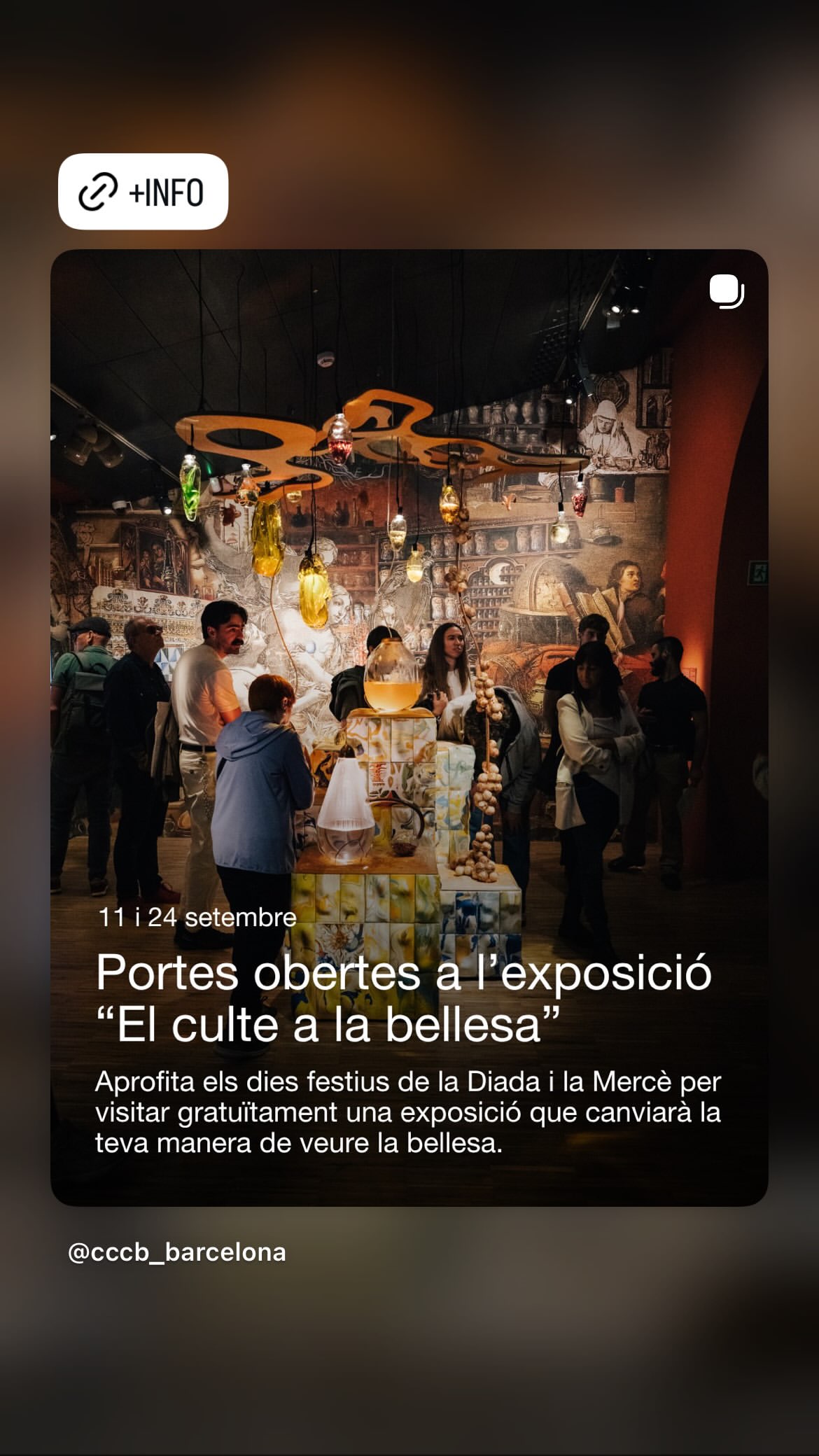 Open day: El culte a la bellesa