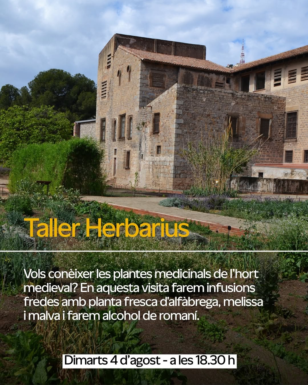 Herbarius — Medieval medicinal plants