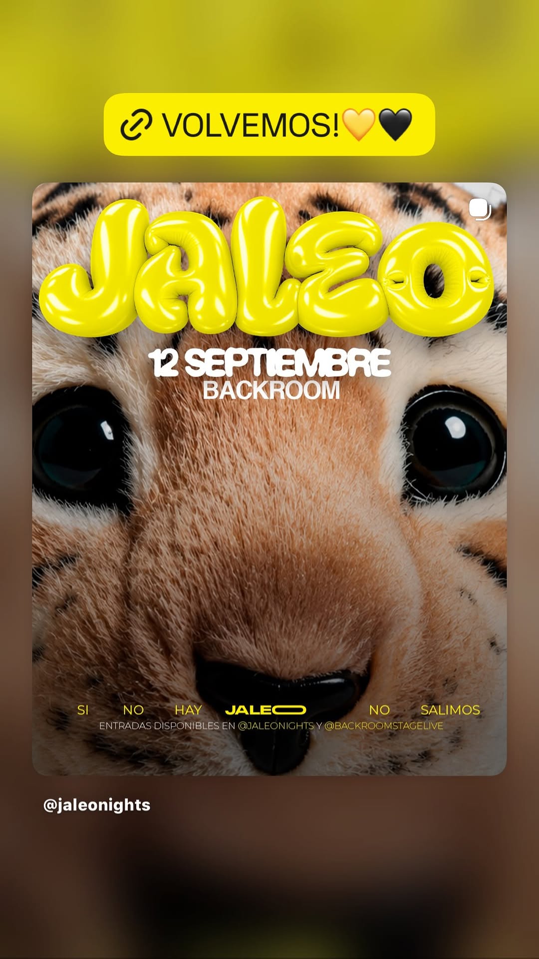 JALEO NIGHTS