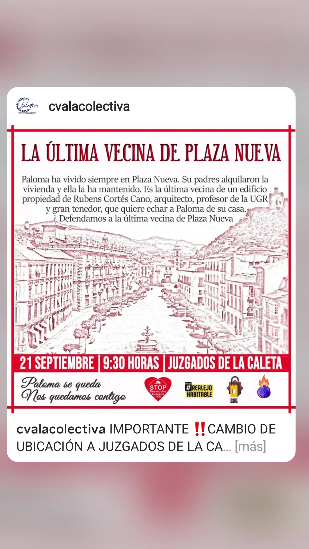 Support: La Última Vecina de Plaza Nueva