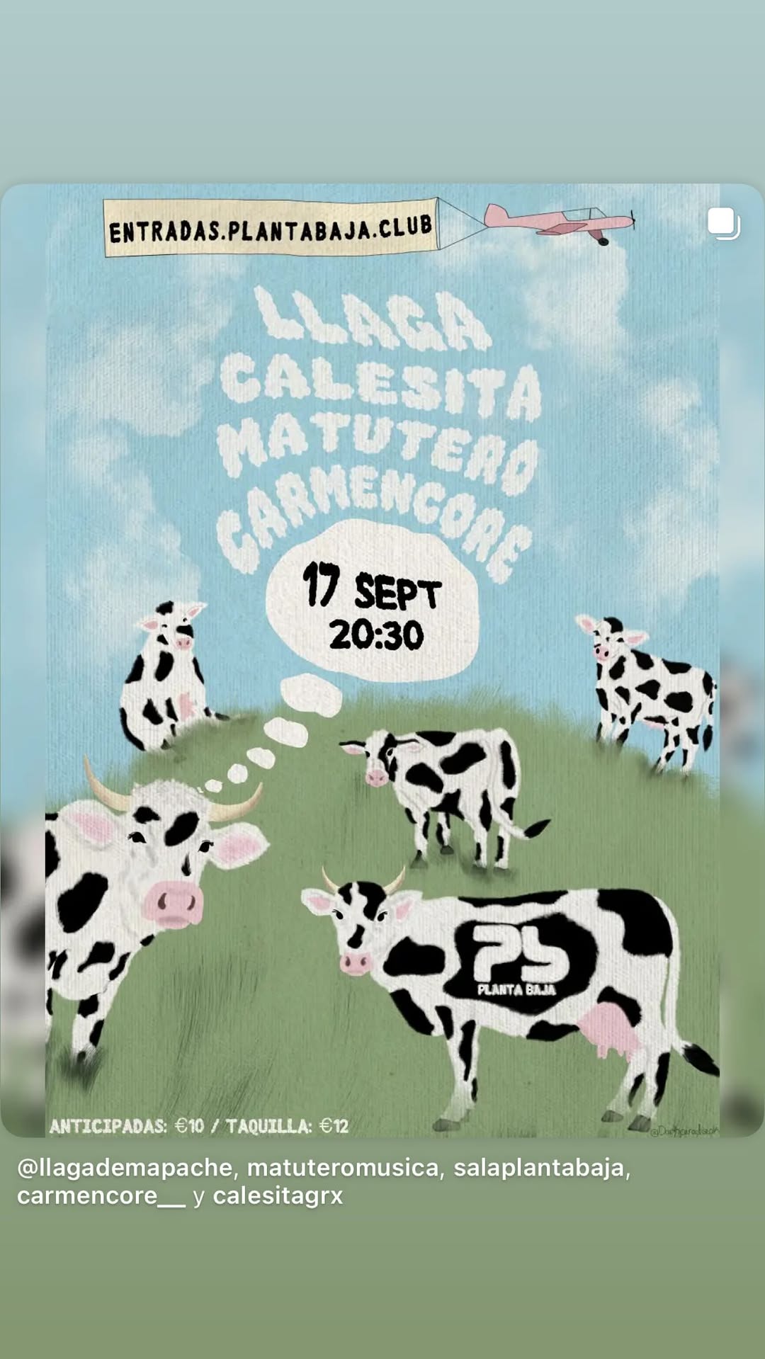 LLAGA · CALESITA · MATUTETERO · CARMENCORE