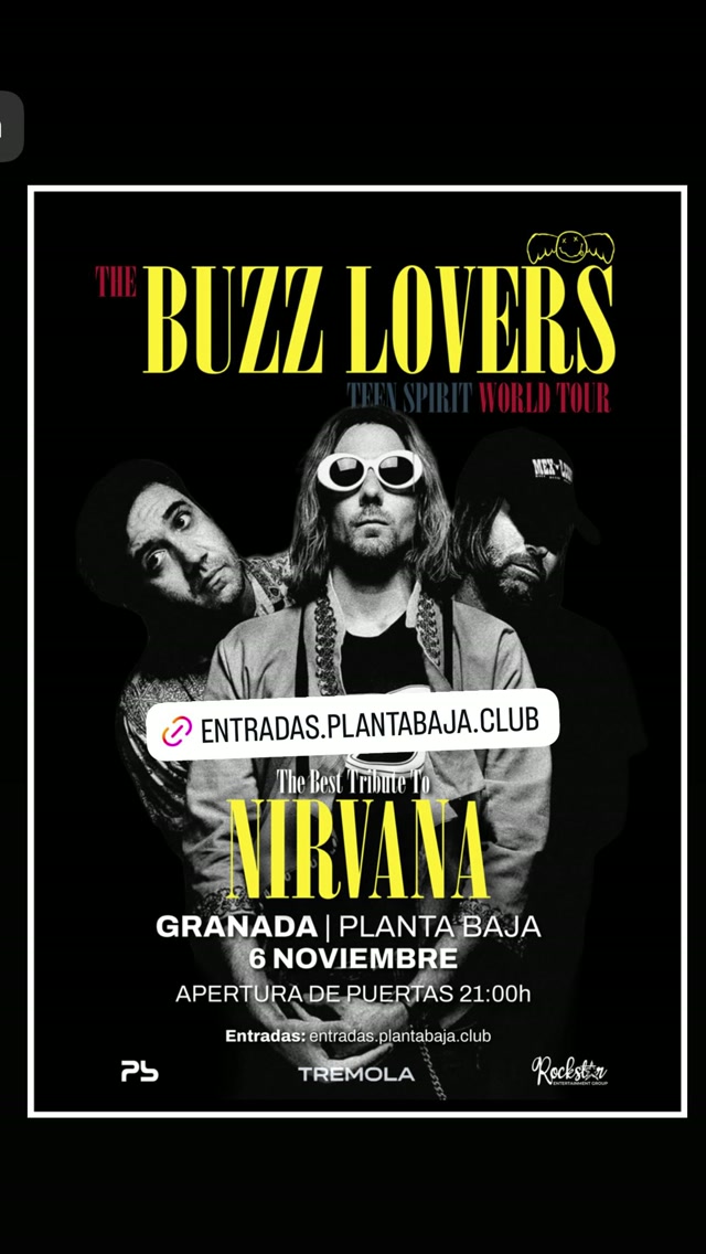 The Buzz Lovers (Nirvana tribute)