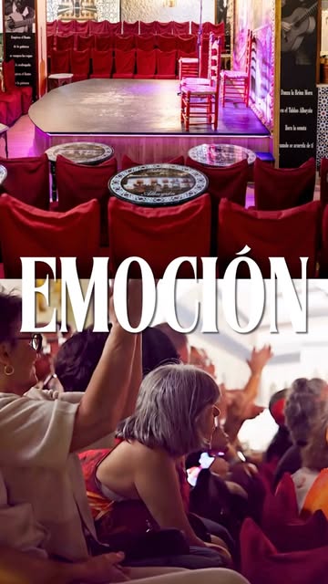 Daily Flamenco shows