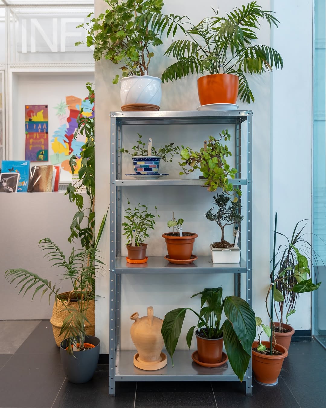 La Fresquera — plant drop-off