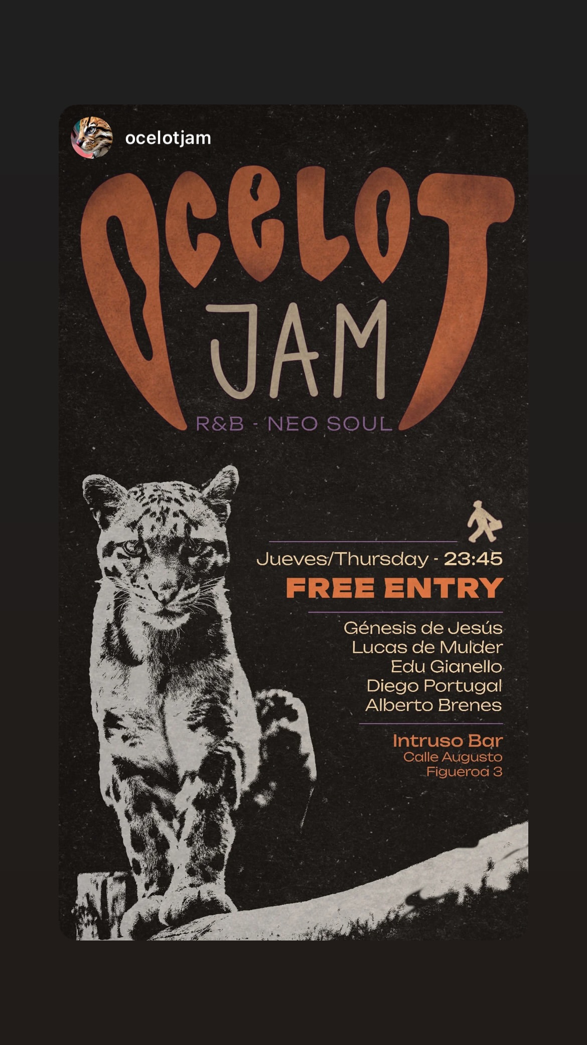 Ocelot Jam