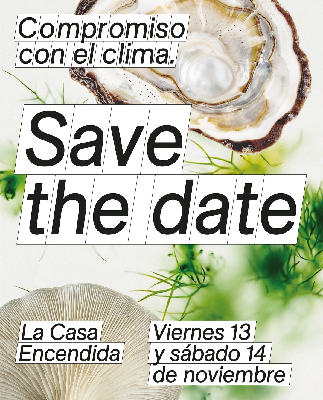 CLIMAX EL MUSICAL