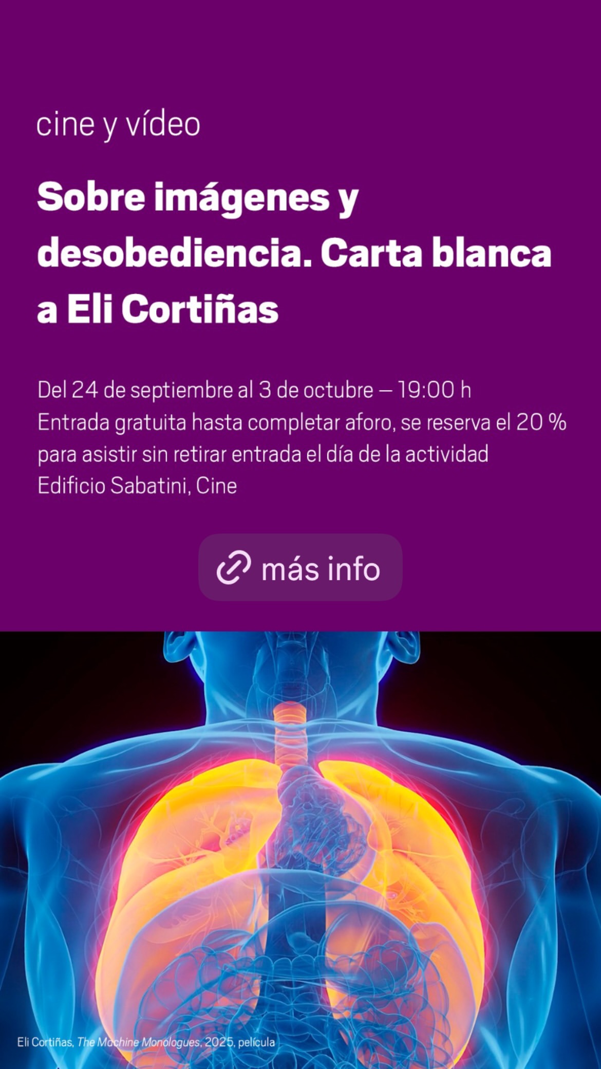Sobre imágenes y desobediencia. Carta blanca a Eli Cortiñas