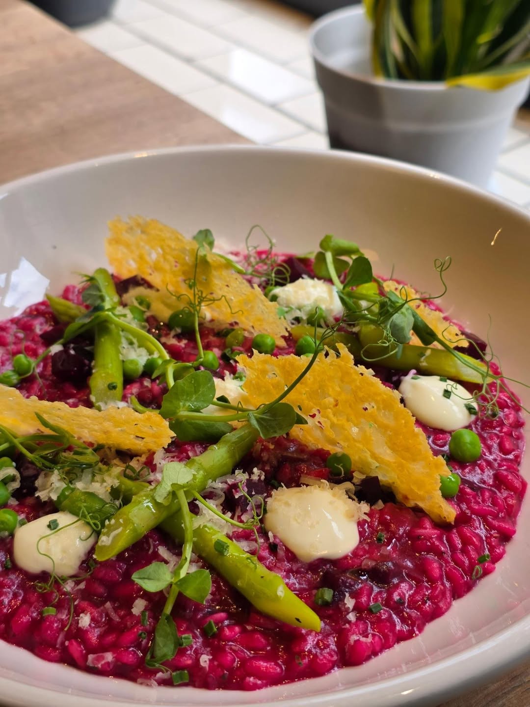 50% off food — one-day summer food discount