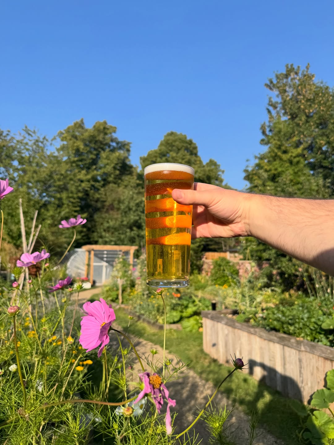 Happy Hour Pints