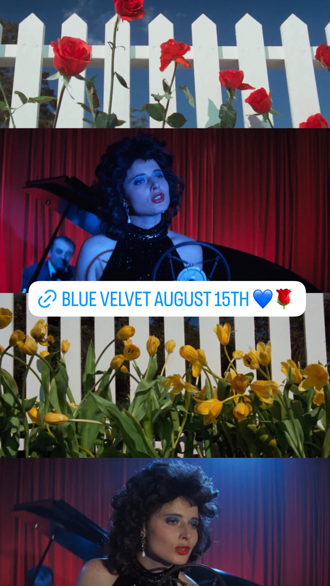 Blue Velvet