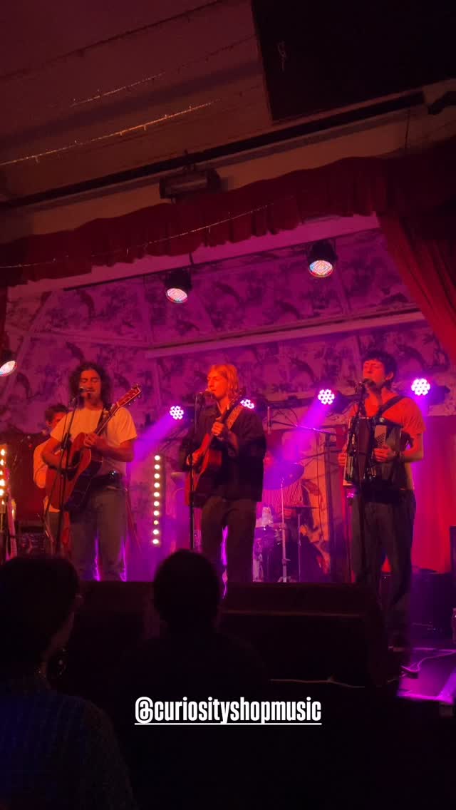 Curiosity Shop, Zoe's Brothers Band & The Hud Dog