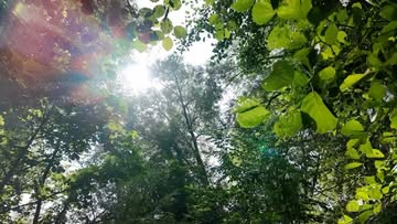 Poetry in the Parks – Hidden Poem Trail (free book while stocks last)