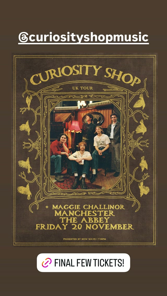 Curiosity Shop — The Abbey