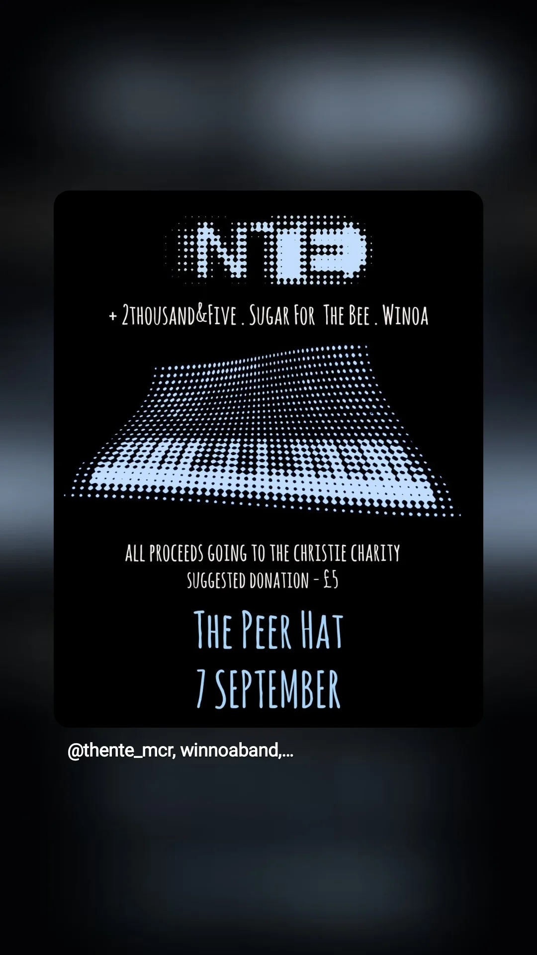 NTE + 2THOUSAND&FIVE, SUGAR FOR THE BEE & WINOA