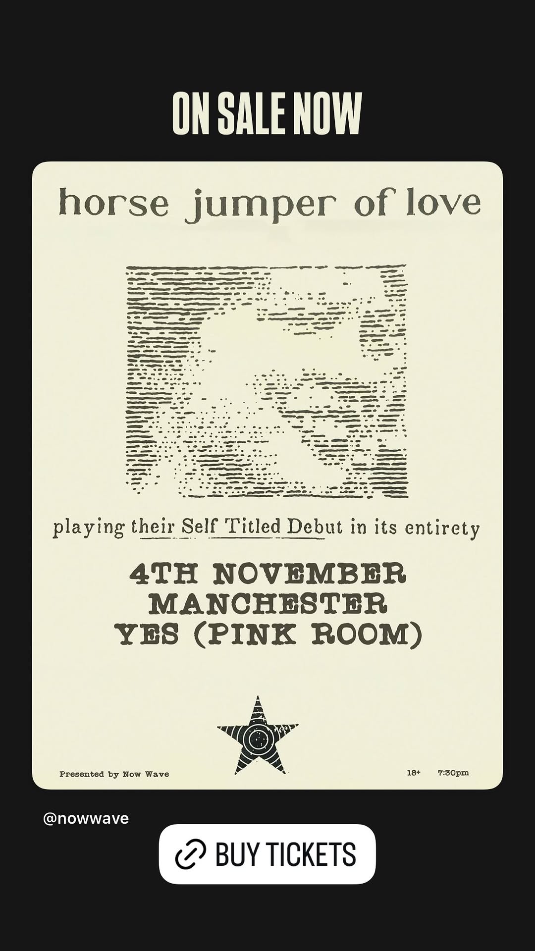 2026-11-04: horse jumper of love
