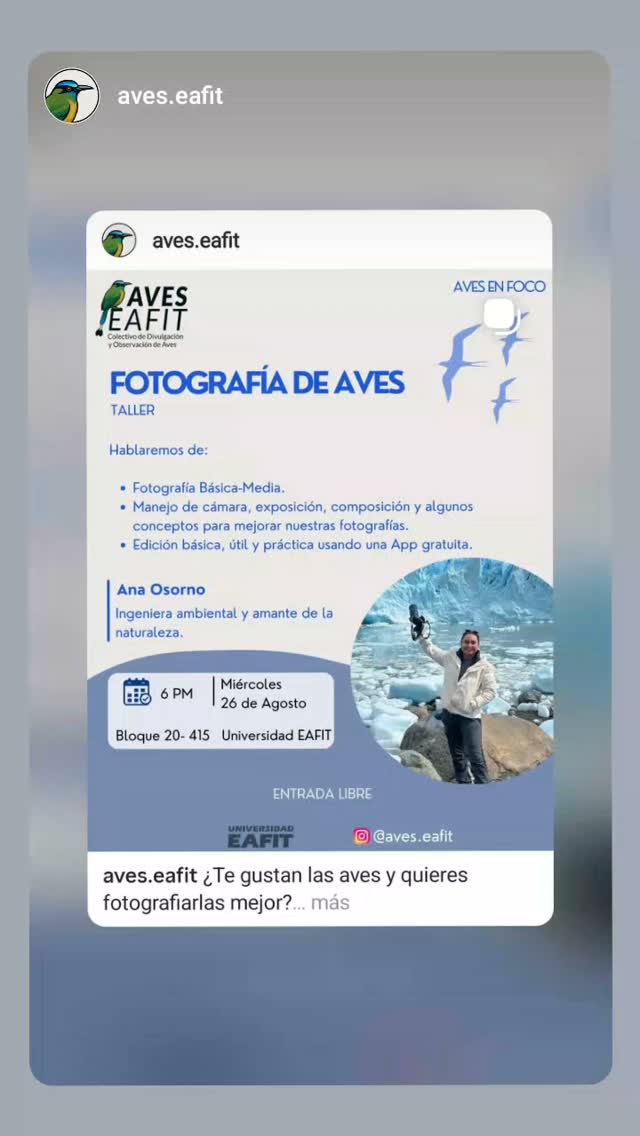 Bird photography workshop (Fotografía de aves)
