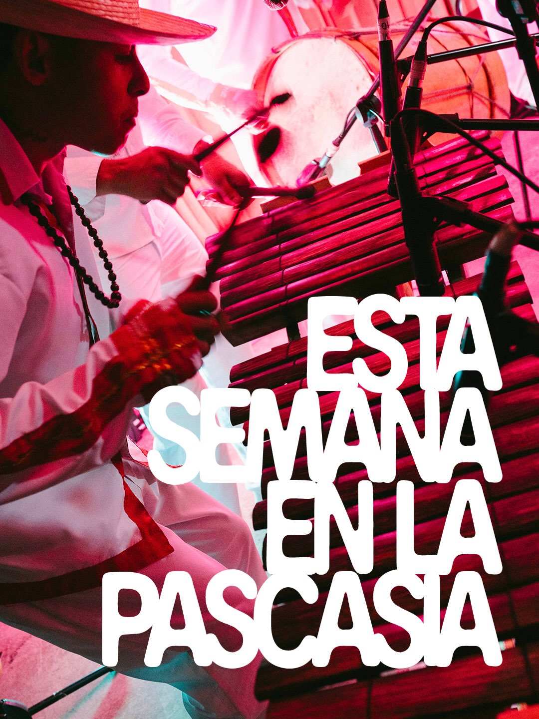 Tan solas por ciertos caminos — presentación de libro