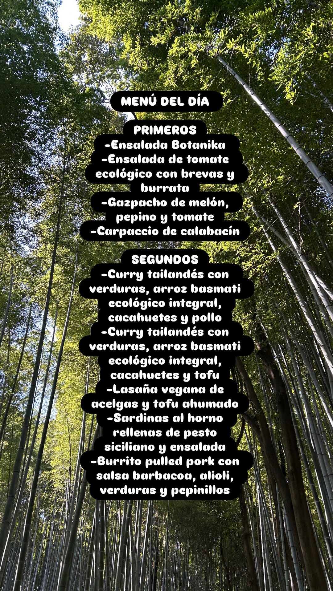 Menú del día (Daily lunch menu)