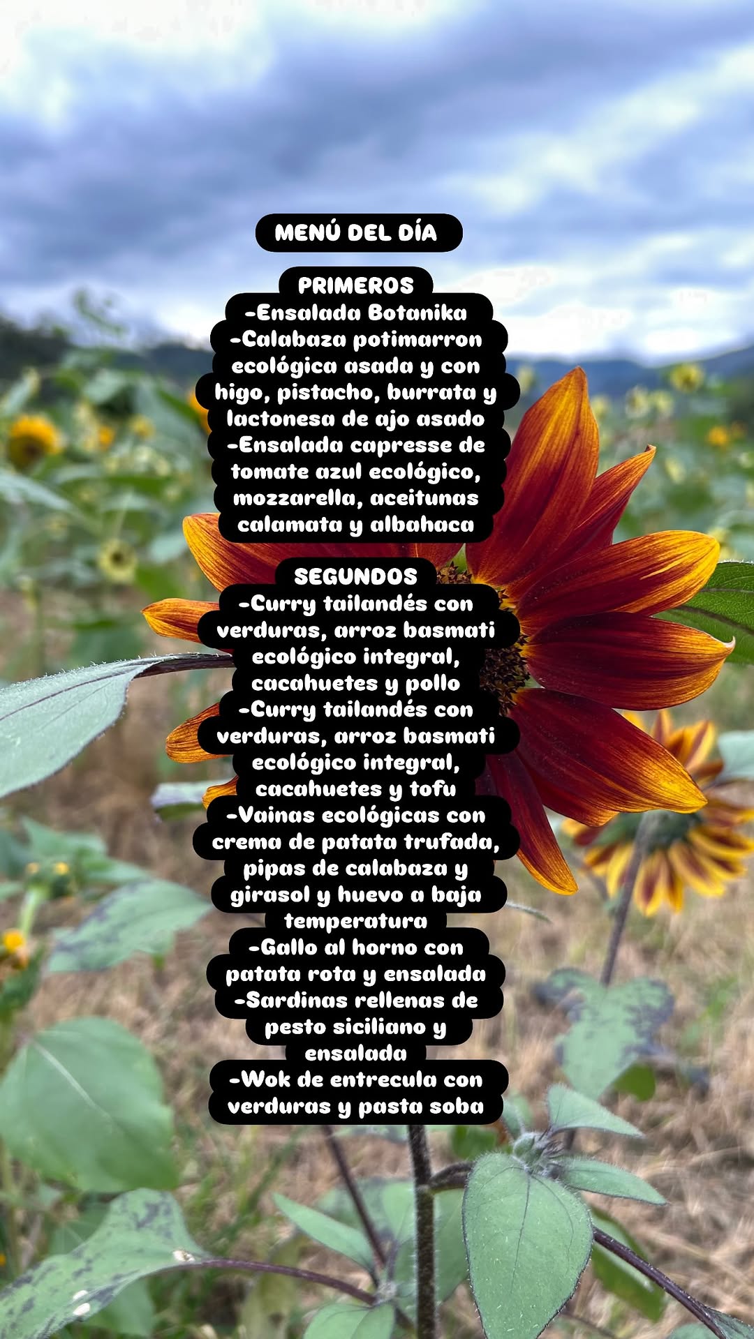 Menú del día — Kafe Botanika