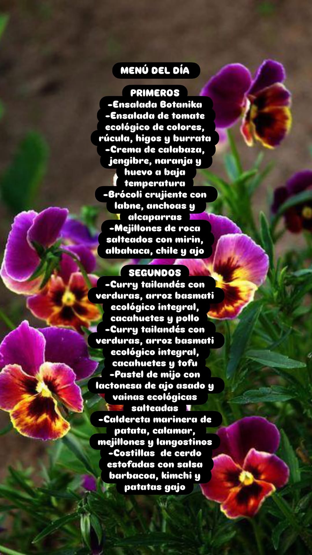 Menú del día (Kafe Botanika)