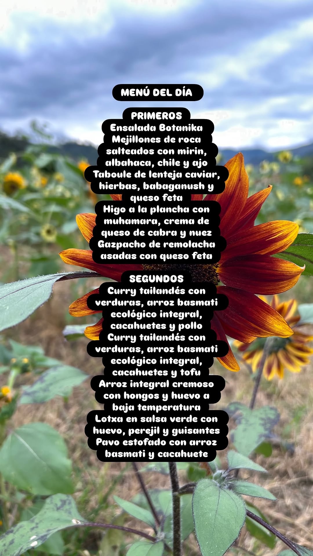 Menú del día