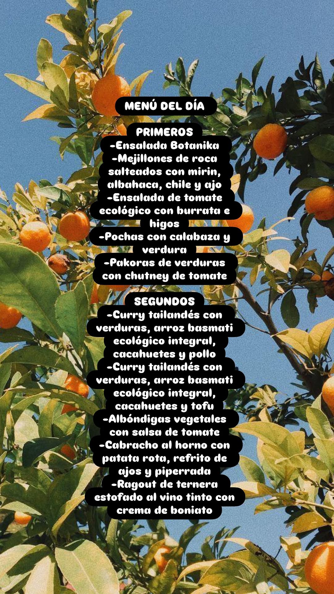 Menú del día