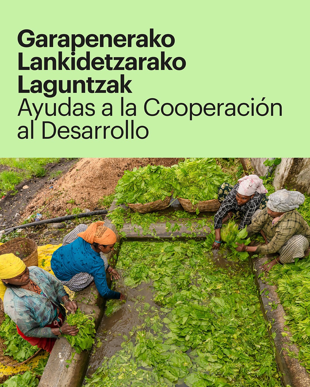 Ayudas a la Cooperación al Desarrollo 2027
