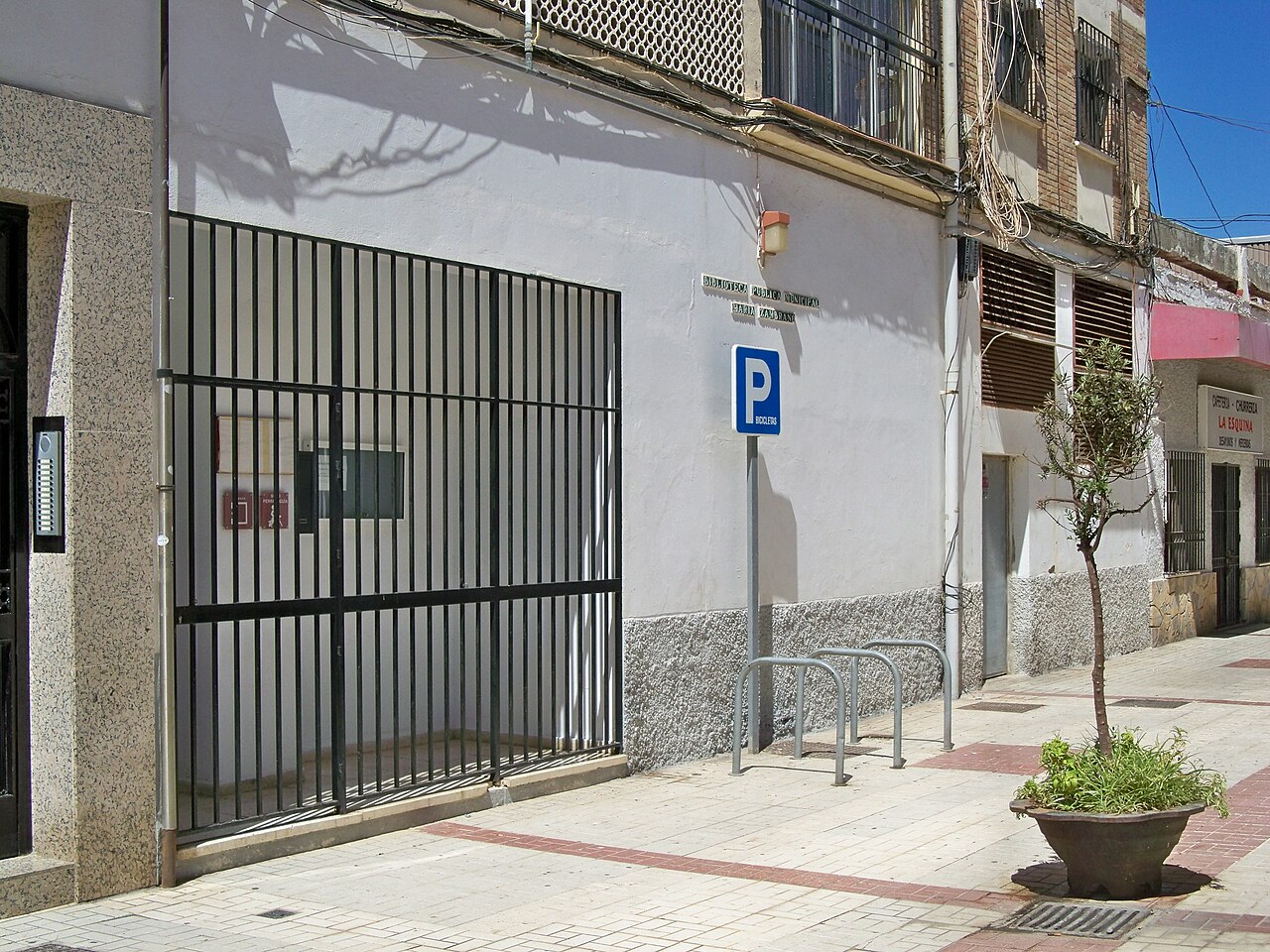 'El otorongo orgulloso' con Mar Amado