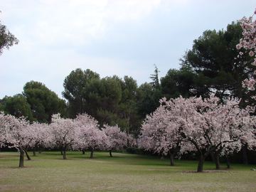 Photo of Parque Quinta de los Molinos